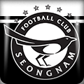 Seongnam FC Logo