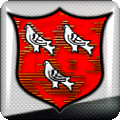 Dundalk FC Logo