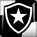 Botafogo de Futebol e Regatas Logo