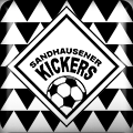 SV Sandhausen Logo